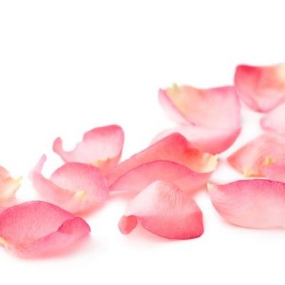 Make your own facial toner or moisturizing body spray by my beauty bunny