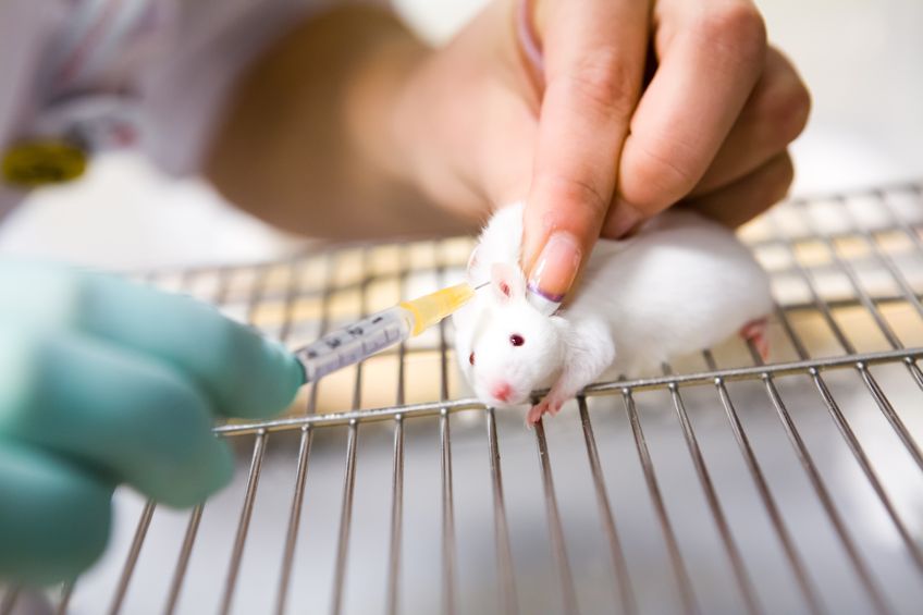 USA animal testing bill