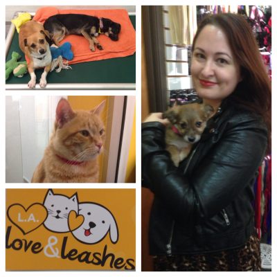 love and leashes
