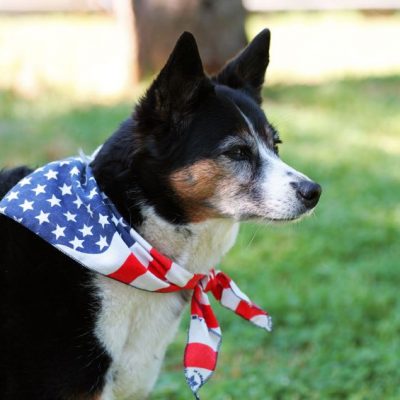 Happy Memorial Day