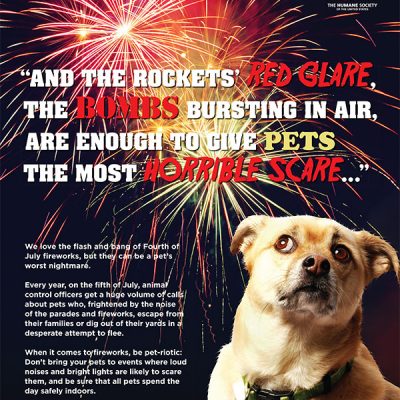 4th of July Pet Safety