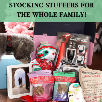 Gift Ideas for the Whole Family - 2019 Gift Guide