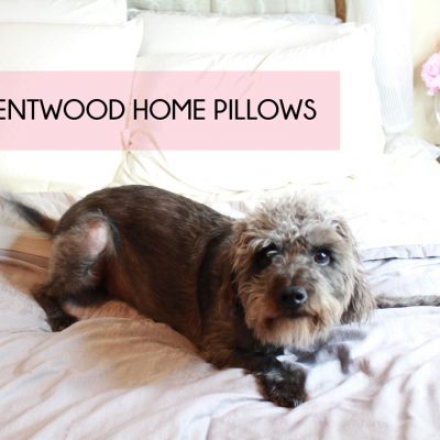 Brentwood Home Pillows Review and Giveaway