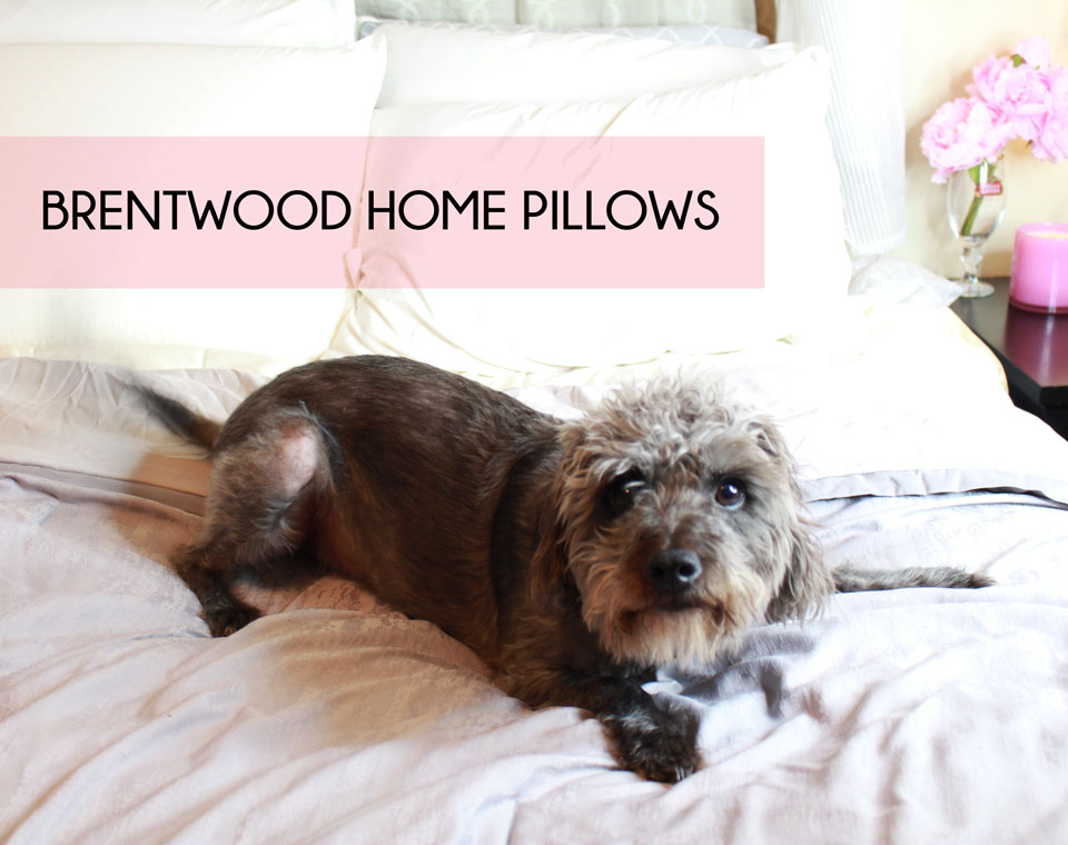 Brentwood Home Pillows Review and Giveaway