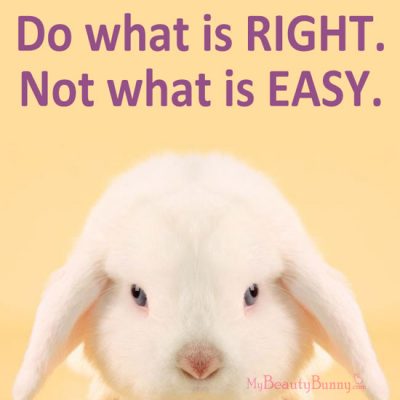 brands that test on animals - Beauty Companies That Test on Animals by popular LA cruelty free beauty blogger My Beauty Bunny