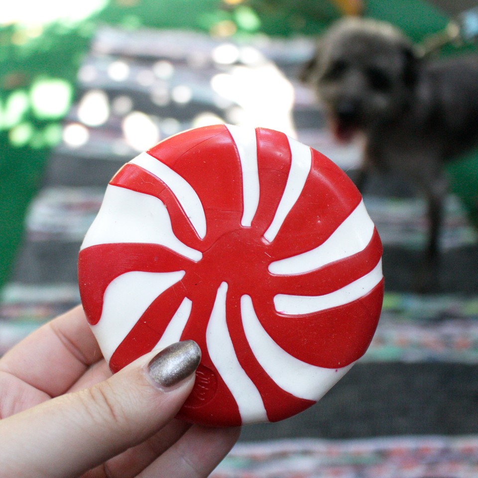 Dog Lovers Holiday Gift Guide - Orbee Tuff Peppermint Dog Toy
