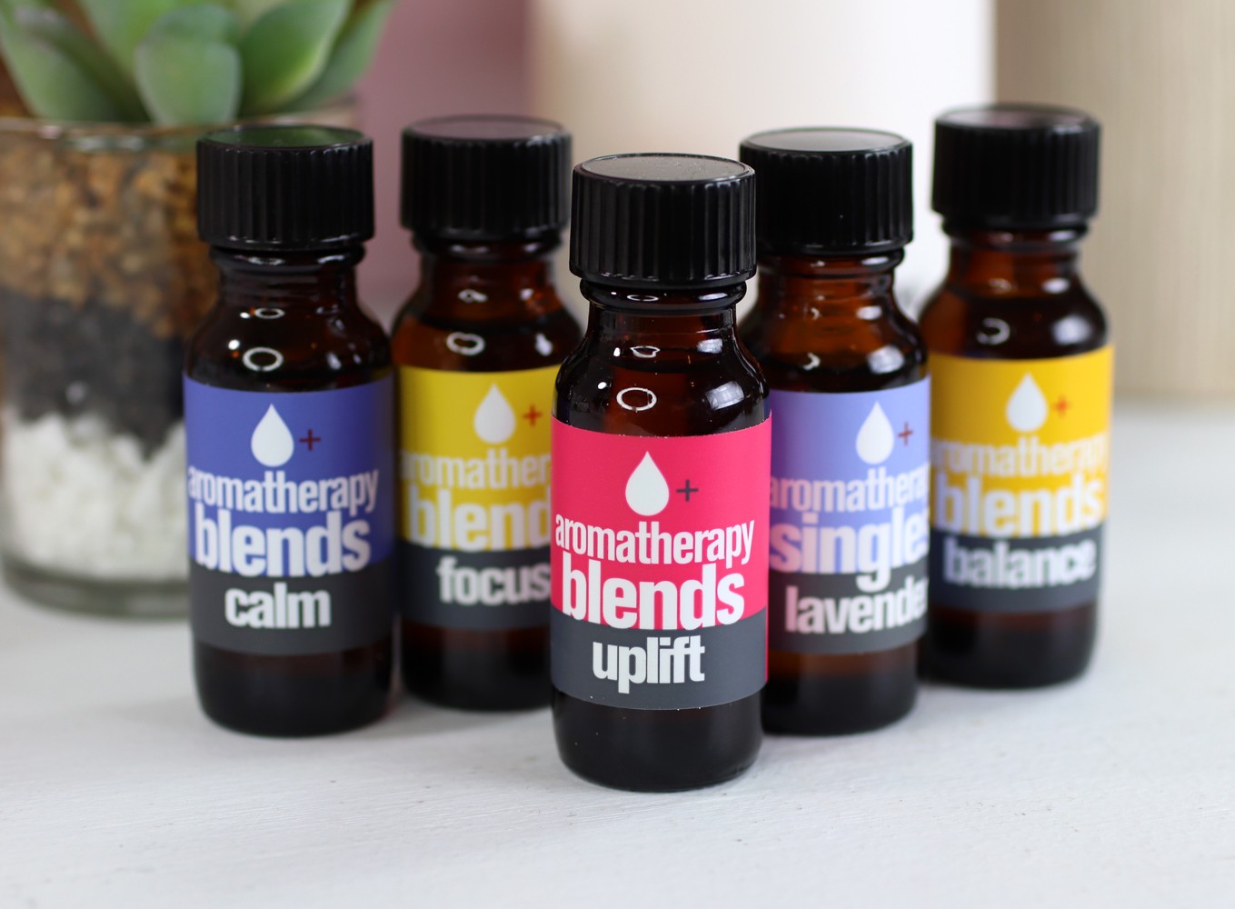 Everyone Aromatherapy Blends Essential Oils - Which is the best essential oil diffuser by LA cruelty free beauty blogger My Beauty Bunny