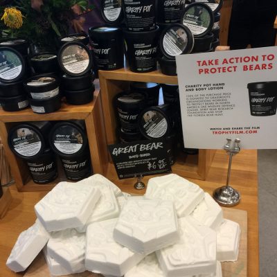 Great Bear LUSH Bath Bomb
