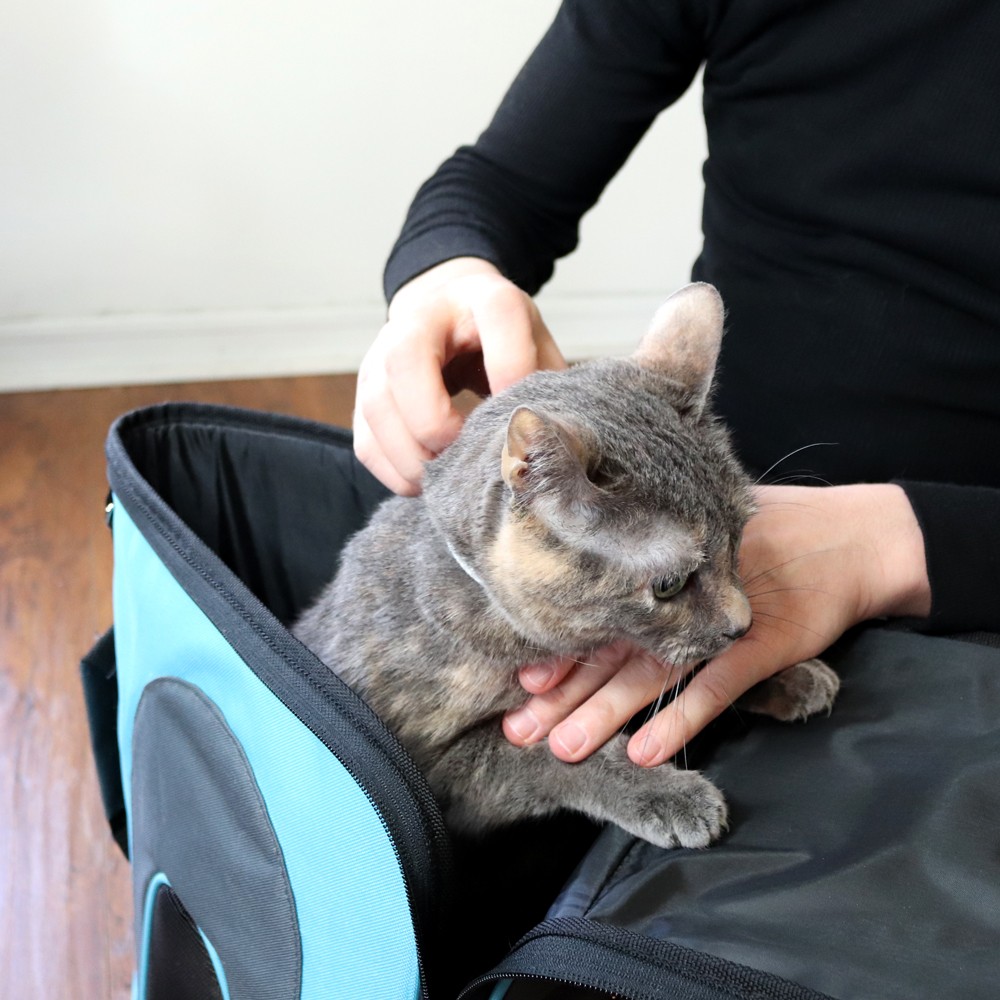 Pet Magasin Extra Large Cat Carrier Review by popular Los Angeles cruelty free blogger My Beauty Bunny