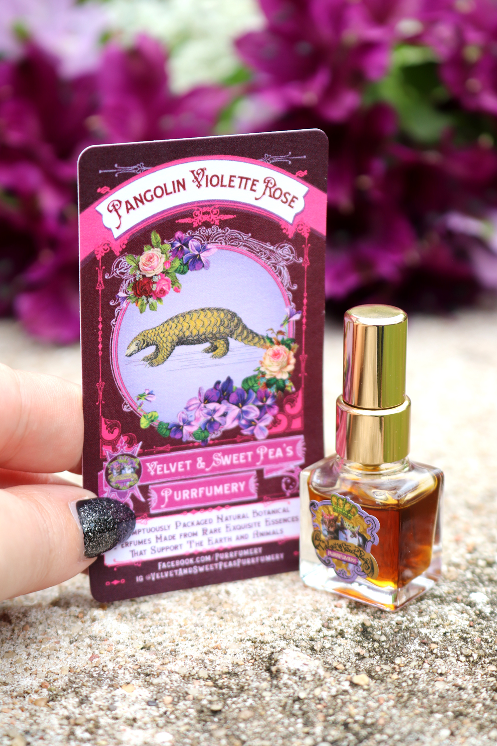 Review of Pangolin Violette Rose Leaping Bunny certified perfume by Velvet and Sweet Pea's Purrfumery