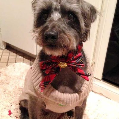 Riley Christmas