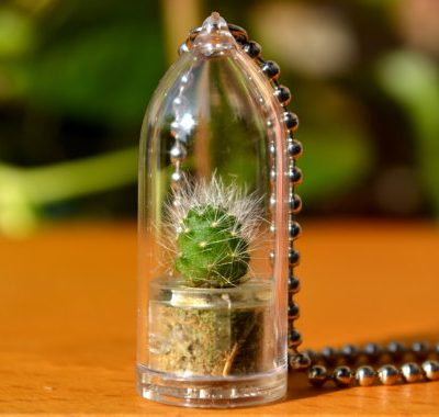 Wear it Mini Plants Cactus Necklace