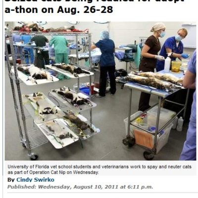 These cats are not being tested on