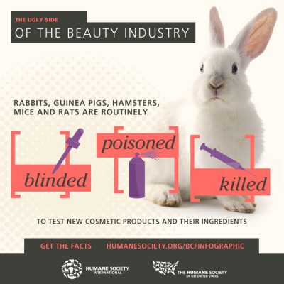 HSUS infographic