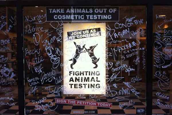 Lush and HSI Launch Campaign to End Animal Testing | My Beauty Bunny -  Cruelty Free Lifestyle Blog